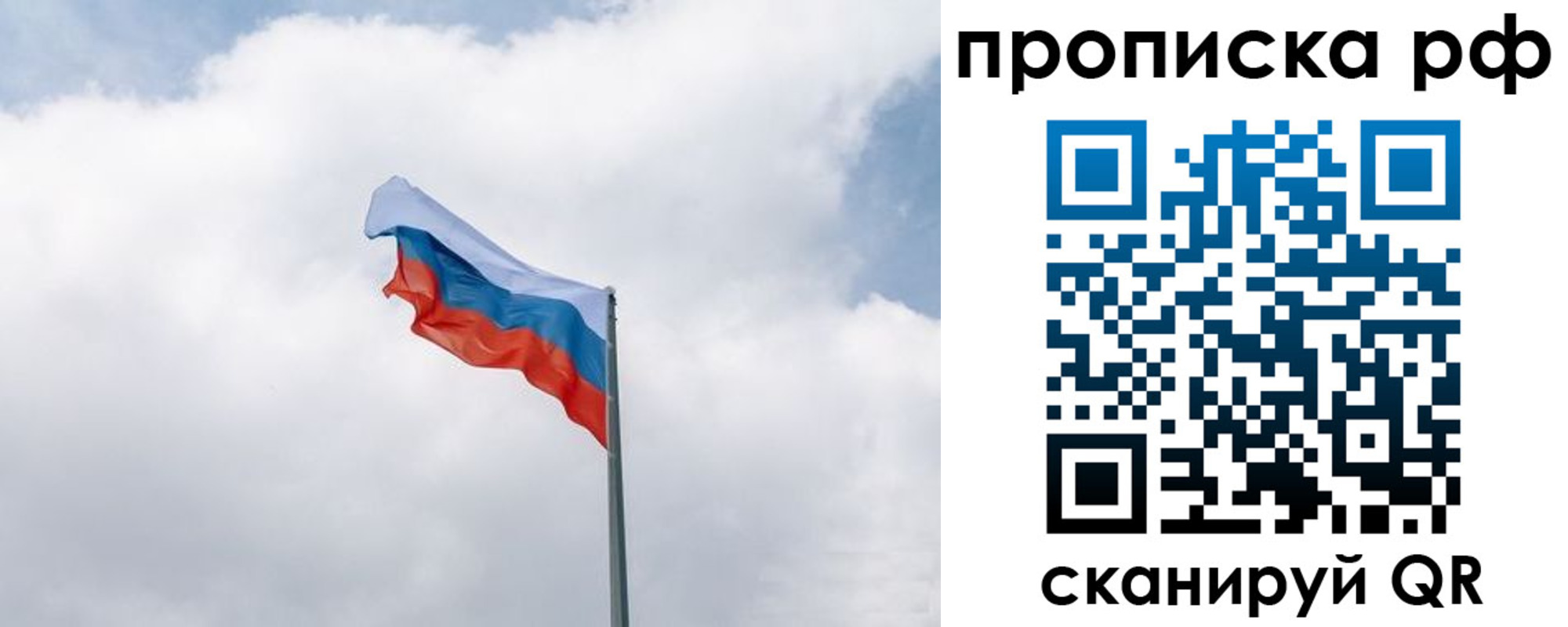 прописка гарантия в Алексеевке